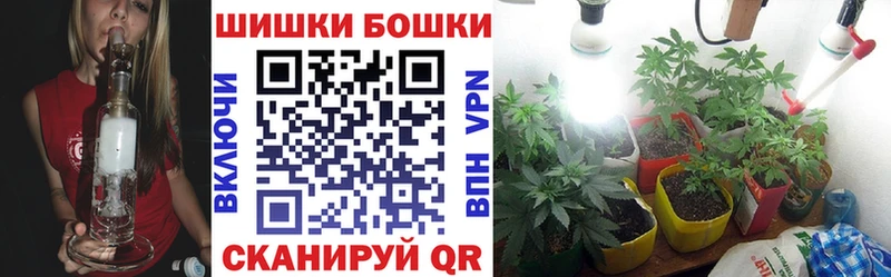 Бошки Шишки Туран